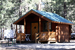 A small log cabin with a green metal roof and covered porch among the pines at Mammoth Mountain RV Park.