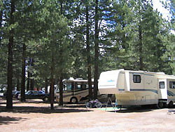 Motorhomes and a travel trailer parked on dirt sites beneath tall pines at Mammoth Mountain RV Park.